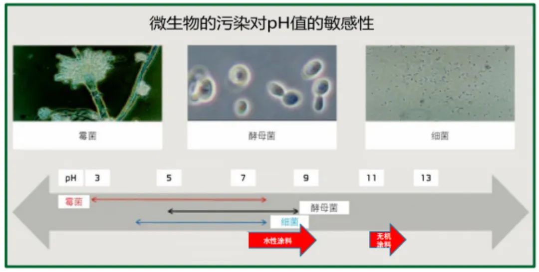 久諾高效無機(jī)涂料抗菌